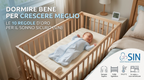 PANNELLO SOLARE CAMPER NDS SOLARFLEX 155W SFS155WP - Articoli per neonati ideali per dormire bene e viaggiare in tranquillità